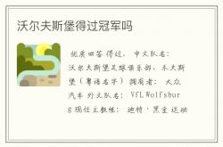 体育直播-沃尔夫斯堡球队争取国内荣誉的简单介绍