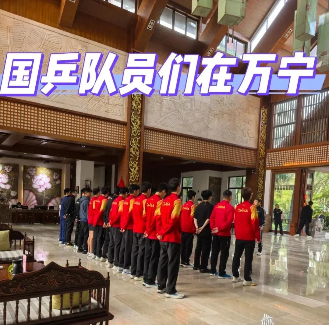 关于海南男篮挑战黑龙江队，积极备战求稳定进攻的信息