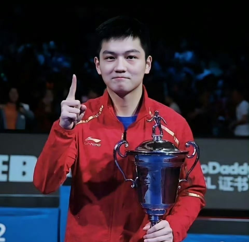 奥地利乒乓球队横扫瑞典乒乓球队,王皓高光表现的简单介绍 奥地利乒乓球队横扫瑞典乒乓球队,王皓高光表现的简单介绍